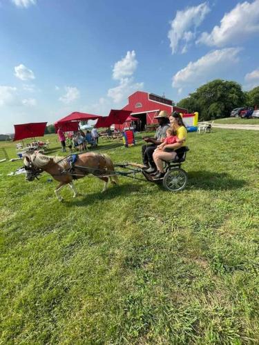 Farm Stay with Highland Cattle & Hot Tub in Eastview, USA