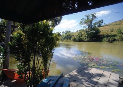 Surrounding environment