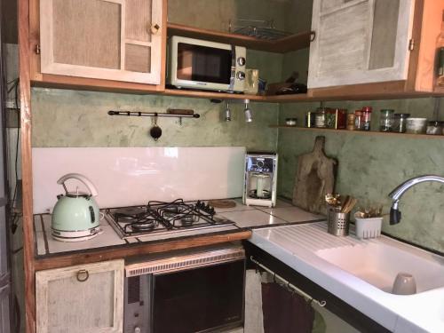 La Cérisole (La Cerisole) in Saint-Étienne-de-Tinée