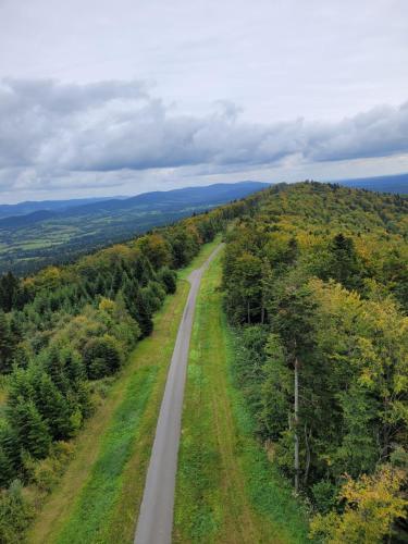 Domek u Hołąbków Domek u Hołąbków