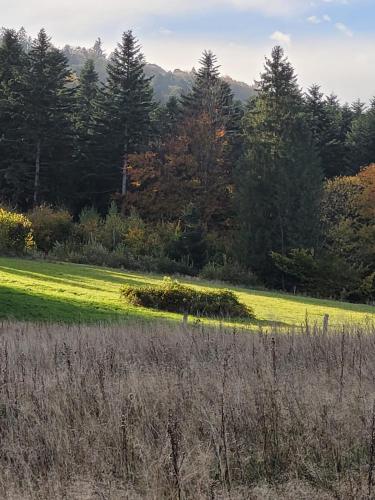 Domek u Hołąbków Domek u Hołąbków
