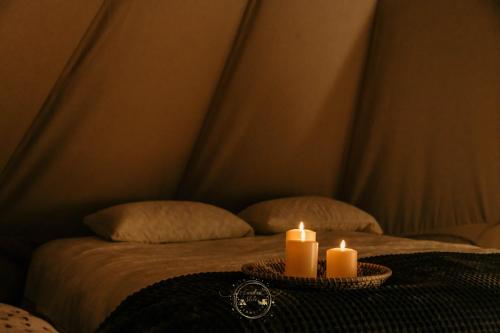 . Carul cu Stele-Glamping
