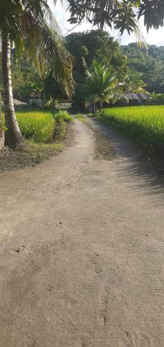 View, Masaling Garden house in Cauayan  (Negros Occidental)