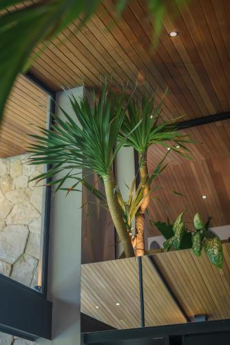 Ohlala - Luxury Tropical Escape in Pererenan - image 4