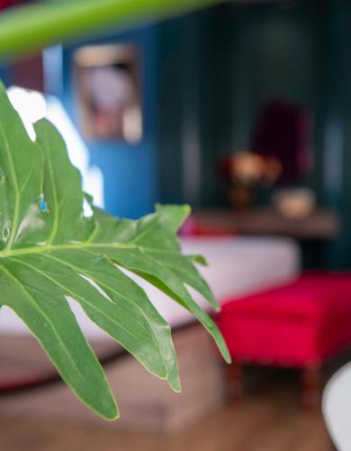 506238130 Aaron Boutique Hotel