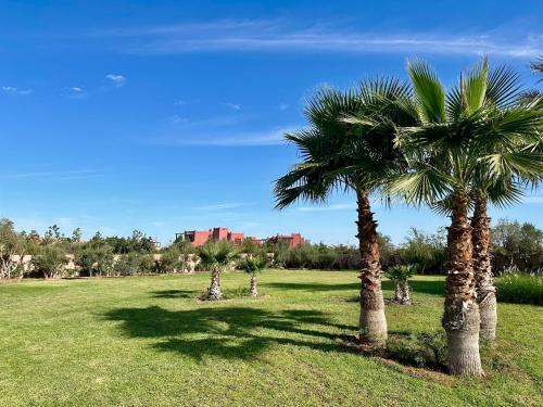 Konouz Palace Konouz Palace