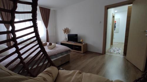 Apartman 1, Kragujevac (fotografie 8)