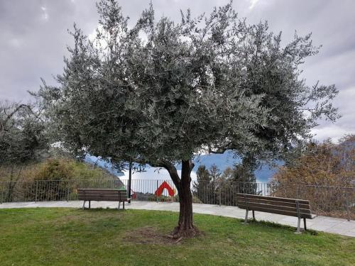 JIL house Relax tra Lago e Natura