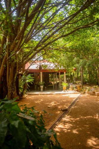 Exterior view, Evergreen Hotel Dambulla in Sigiriya