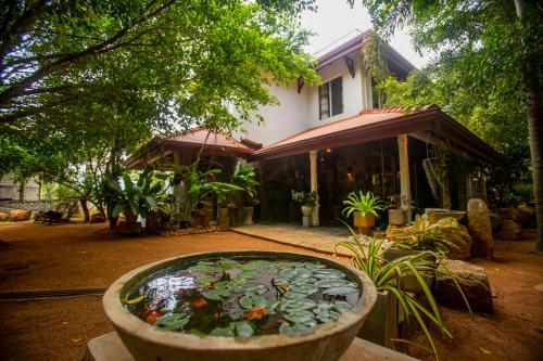 Evergreen Hotel Dambulla Sigiriya