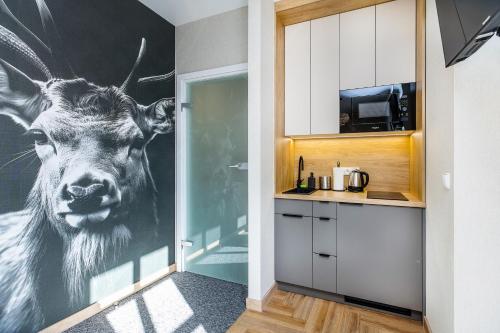 Bukowina Tatrzańska - apartament Gil z widokiem na Tatry