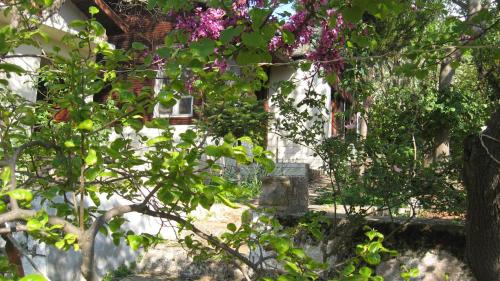 Ayvalik Dostlar Pansiyon