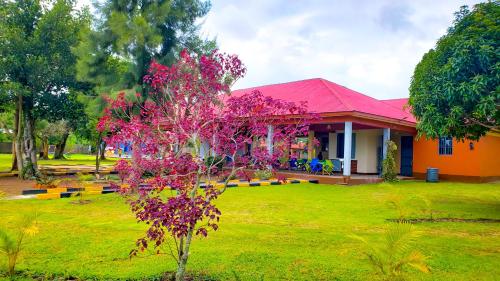 Arien Hotel in Hoima