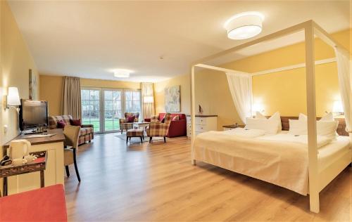 1 king bed, 2 sofa beds
