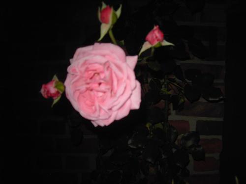 Bauernhof Barlo in 博霍爾特