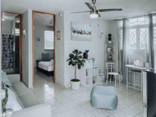 Convenient stay near airport, beach, Isla Verde tourist area, with Jacuzzi in Carolina