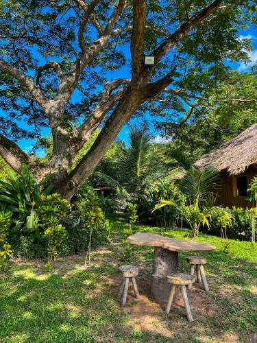 Tayrona Cachaco River Ecohostal