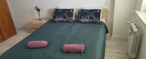 Apartament Busko-Zdrój - Zosia