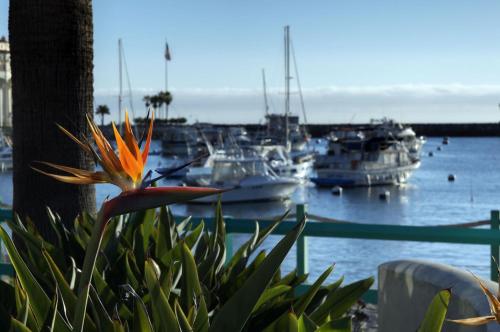 The Avalon Hotel in Catalina Island