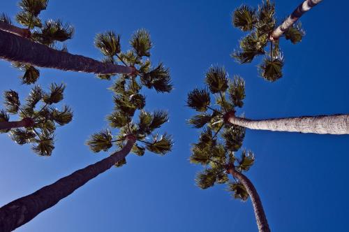 The Avalon Hotel in Catalina Island