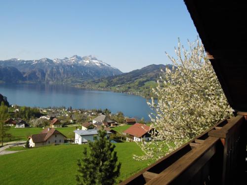 Skats, Biohof Schwanser in Steinbaha Atersē
