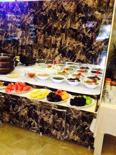 Grand Ezel Hotel - image 12