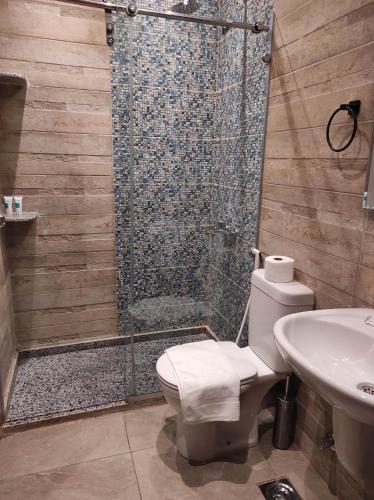 Junior Suite with Terrace image 9