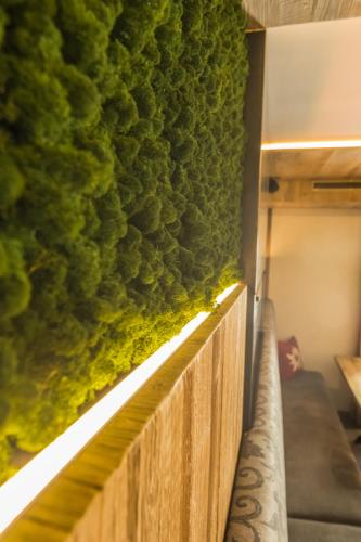 Hotel Daxer – Kirchberg, MO