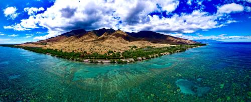 Explore Maui's diverse campgrounds and uncover the island's beauty from fresh perspectives every day as you journey with Aloha Glamp's great jeep equipped with a rooftop tent