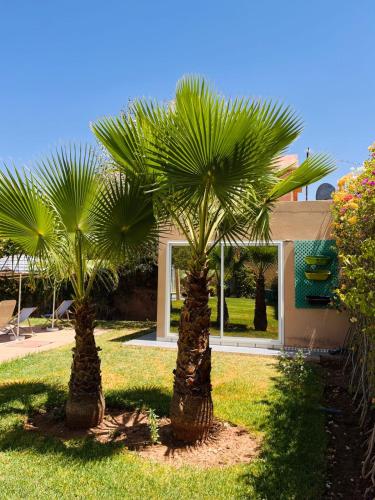 Terracotta Terracotta