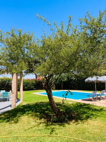 Terracotta Terracotta