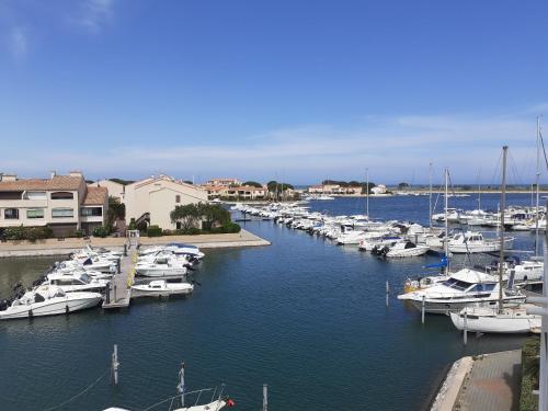 Appartement T2 mezzanine avec piscine. - Location saisonnière - Saint-Cyprien