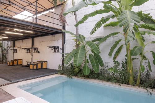 El Refugio de Sayulita - Health and Wellness House in Sayulita, Mexico