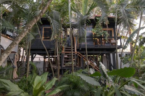 El Refugio de Sayulita - Health and Wellness House in Sayulita, Mexico