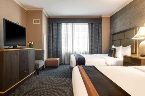 The Whitehall Hotel - image 13