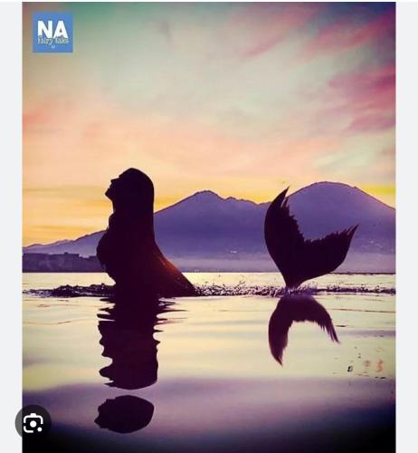 Il golfo di Partenope