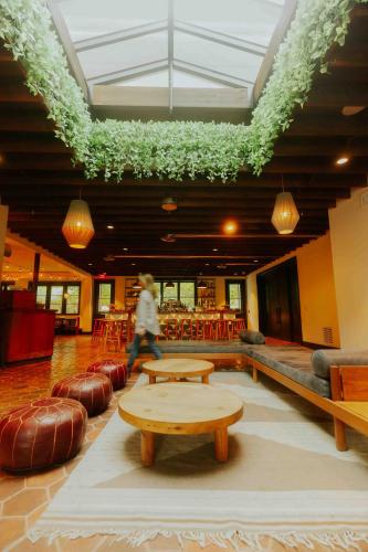 餐廳, Calistoga Motor Lodge and Spa in 卡利斯托加