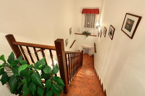 Penzion Pohádka - image 7