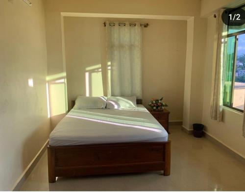 Olive homestay