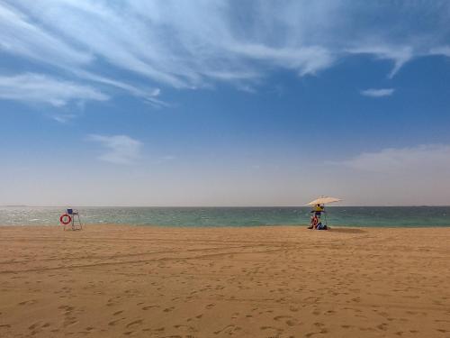 Amazing sea view apartment in Port de La Mer, Dubaj (fotografie 8)