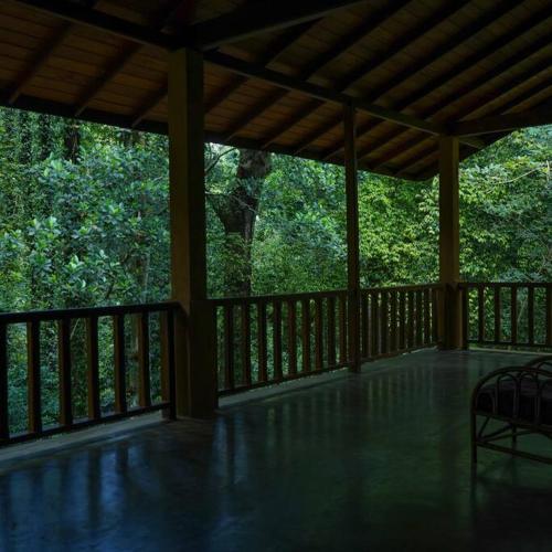 Weralugama Forest House in Nambirittankadawara