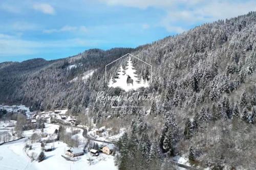 Chalet Authentique - Insolite - Sauna & Télécabine - Ménage, serviettes, lit fait inclus