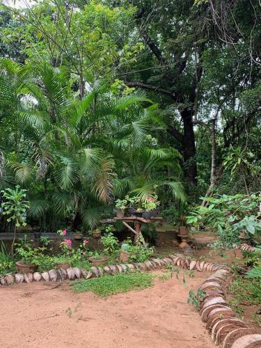 Deluxe Double Room room in Manju Homestay