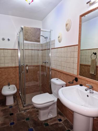 DS Realejo-Casco Histórico con aparcamiento, Córdoba (fotografie 7)