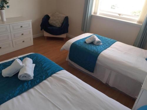 Elmbank Accommodation - image 3
