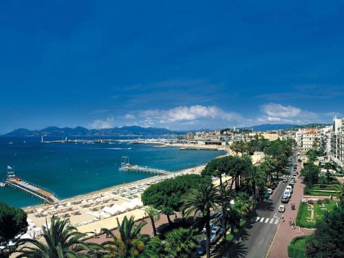 One-Bedroom Apartment room in One BDRM flat A/C-Congress/Beaches by Olidesi