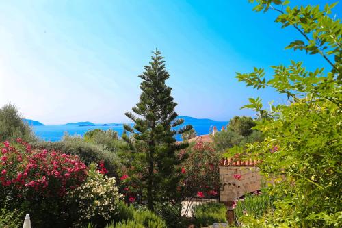 Villa Mari - main image