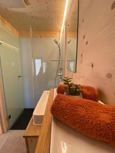 Unique Tiny Eco Lodges with gorgeous views to Jungfrau Massiv, Interlaken (fotografie 8)