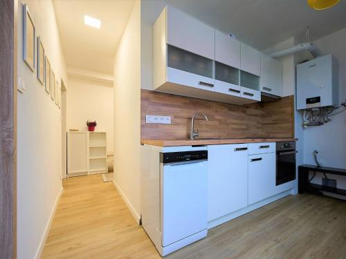 Apartment Harrachov 377 by Interhome in ฮาร์ราชอฟ