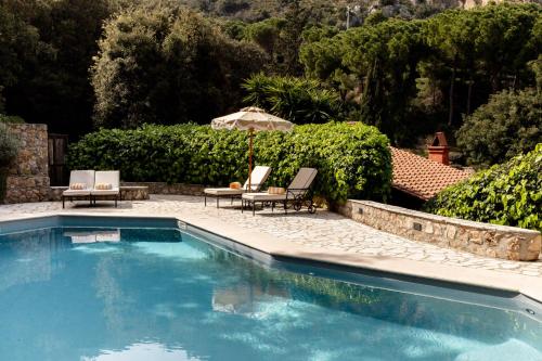 506546695 Il Pellicano